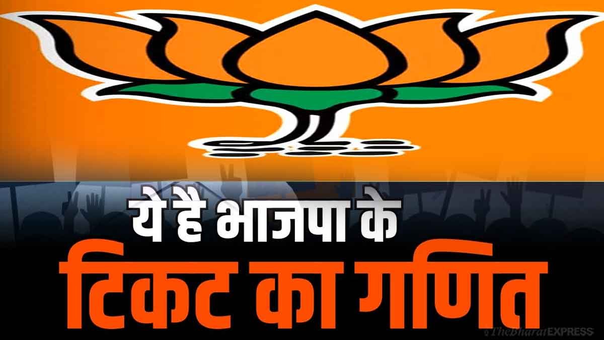 CG BJP Candidates Full final List