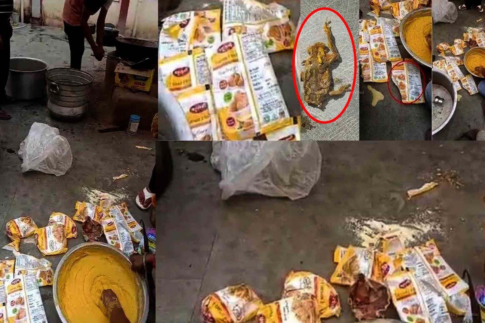 Dead frog found in pickles given to school children in food