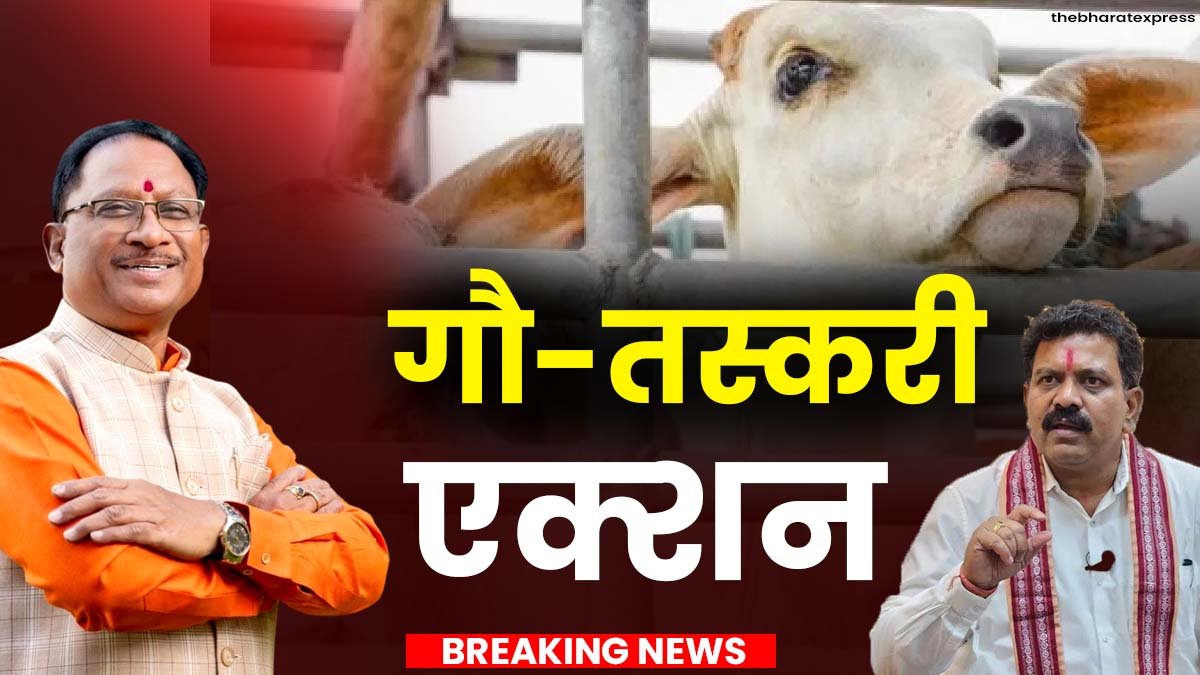 Gau Taskari Naya Kanoon Chhattisgarh