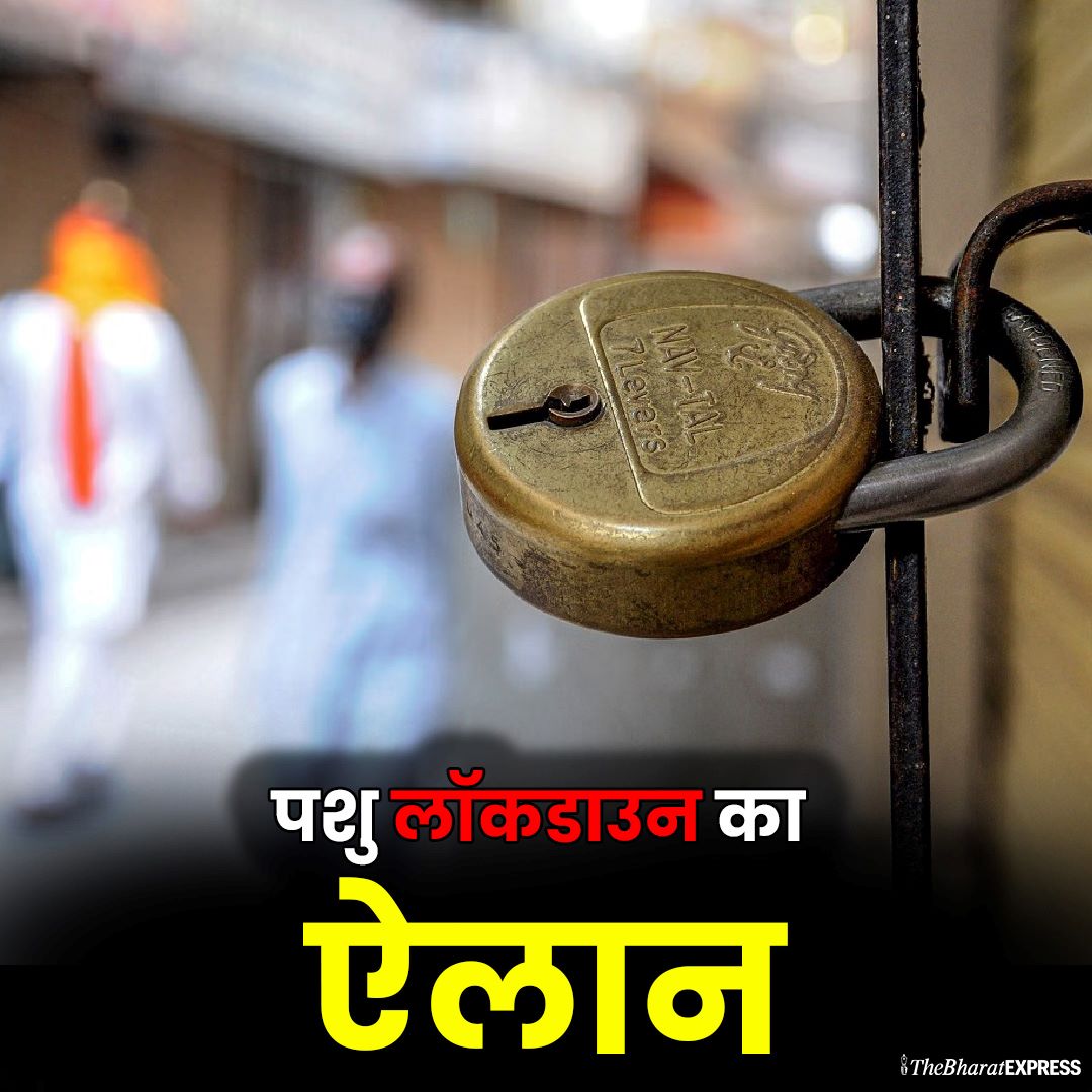 Pashu Lockdown