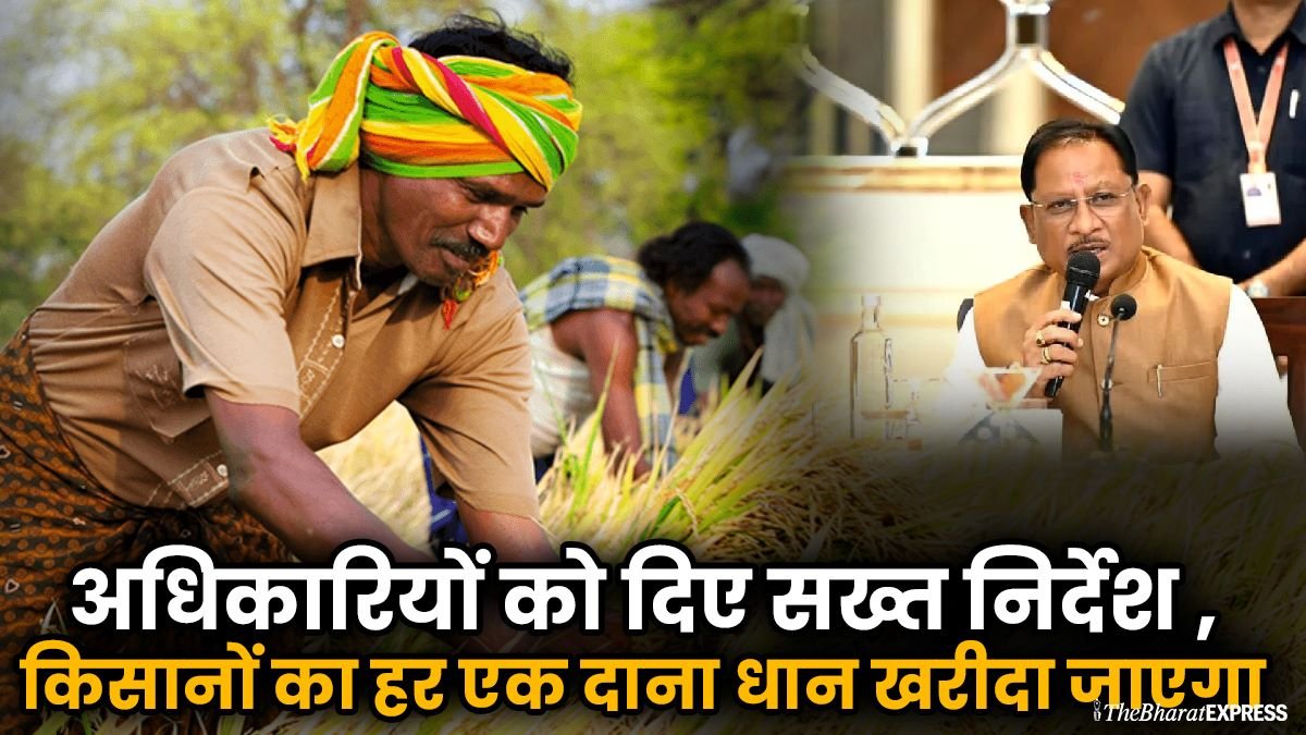 CG Collector Conference 2025