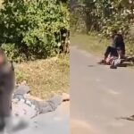 mp girfriend murder boyfriend