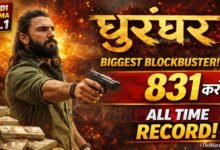 Dhurandhar Box Office Collection