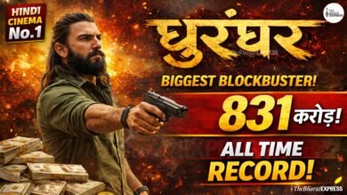 Dhurandhar Box Office Collection