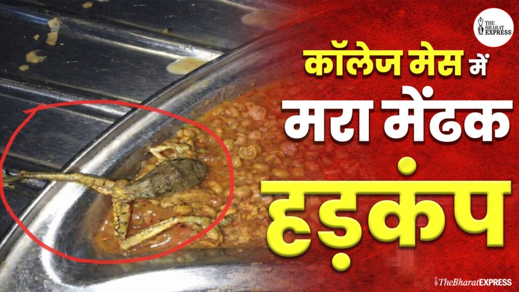 khane me mandek mila